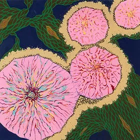 美大・美高受験