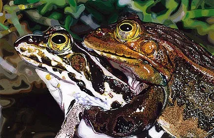 美大・美高受験